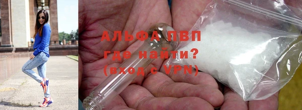 СК Абинск