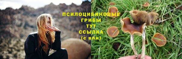 СК Абинск