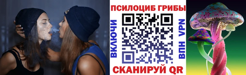 даркнет сайт  Яхрома  Псилоцибиновые грибы мухоморы 